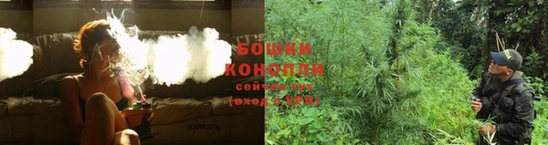 трава Балахна