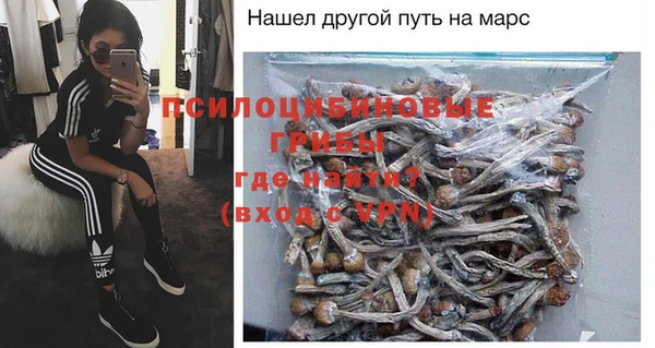 трава Балахна
