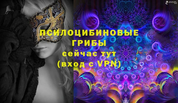 трава Балахна