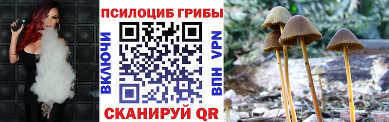 Псилоцибиновые грибы Cubensis  где можно купить наркотик  Балтийск 